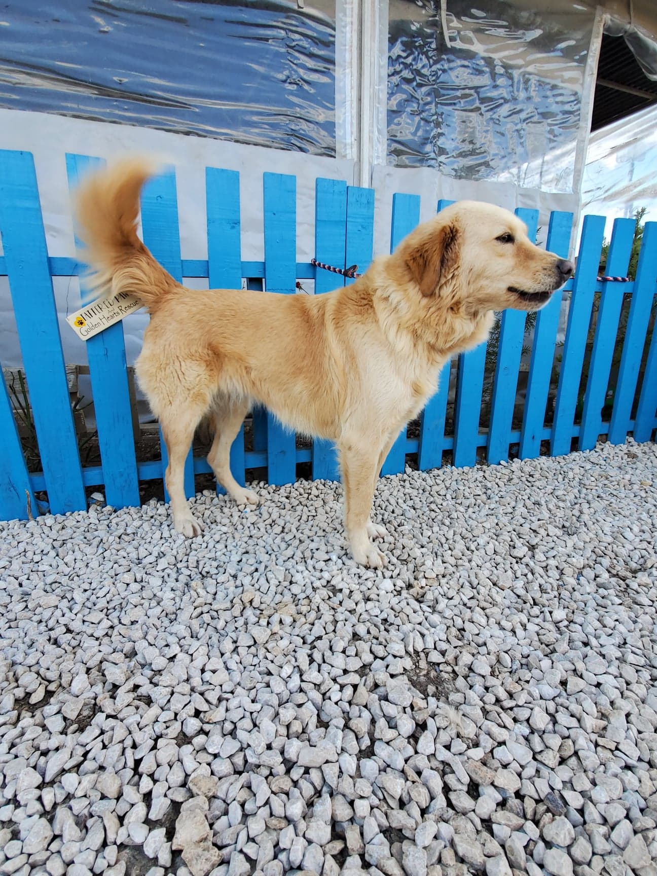 Ruthie (fka Parsley) 